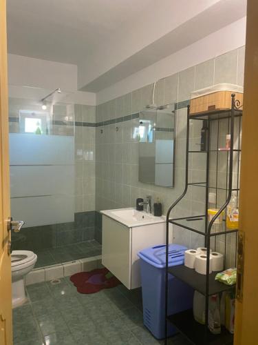 e bagno con servizi igienici, lavandino e doccia. di Seaside Blue Coast Apartment ad Anávissos