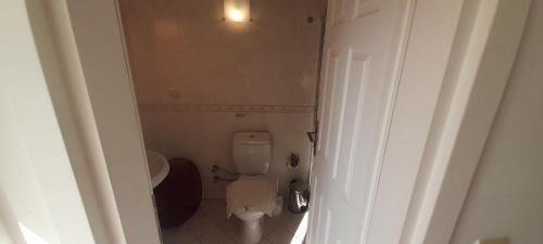 een kleine badkamer met een toilet en een wastafel bij Sea Villa Apart in Fethiye