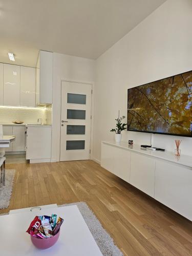 ein Wohnzimmer mit einem großen Flachbild-TV in der Unterkunft Apartman Blok 51 in Banja Luka