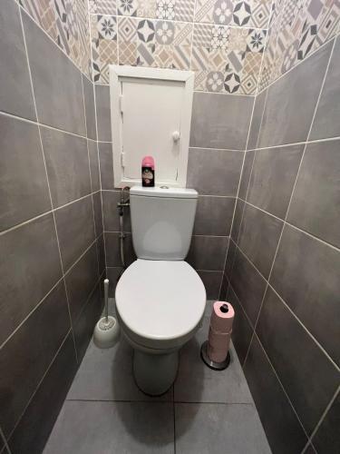 une salle de bain avec des toilettes avec un chapeau rose dessus dans l'établissement Belle Chambre a EVRY proche Gare RER, à Évry-les-Châteaux