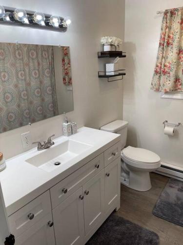 a bathroom with a white sink and a toilet at The Tranquility in Tobyhanna