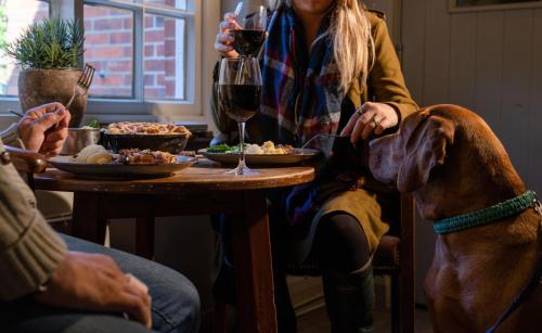 a woman and a dog sitting at a table with food and wine at The Thomas Lord in West Meon