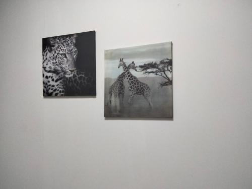 two pictures of giraffes on a wall at Mila's place 35 Wellington Street in Cannonvale