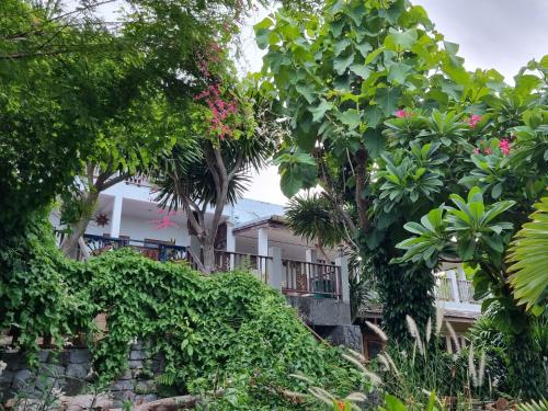 a house surrounded by trees and plants at Sawasdee Sichang Resort in Ban Tha Thewawong