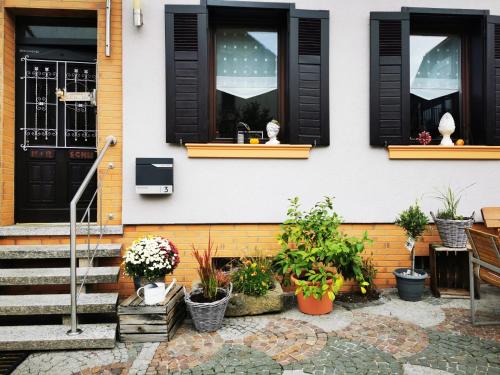a house with black shuttered windows and potted plants at Gästehaus Schu in Marpingen