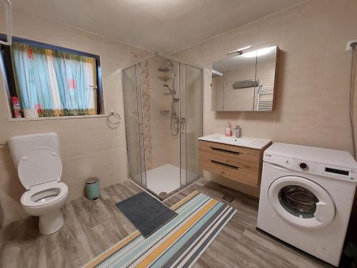 a bathroom with a shower toilet and a washing machine at Apartma Žirovnik in Cerklje na Gorenjskem