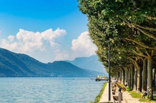een rij bomen op een strand naast een waterlichaam bij Studio Esplanade bord du Lac in Aix-les-Bains
