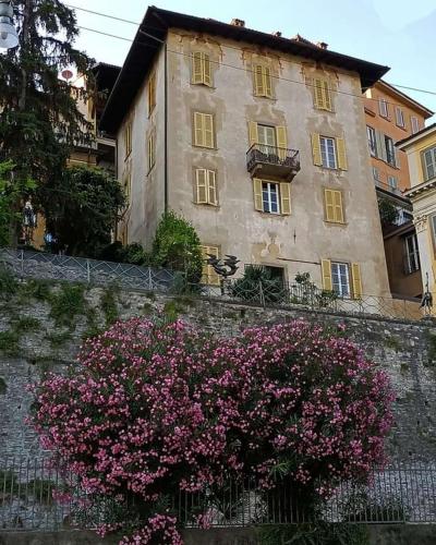 a large building with pink flowers in front of it at Al San Lorenzo in Bergamo
