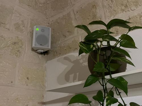 Φωτογραφία από το άλμπουμ του La Mattonella Monella στο Μπάρι