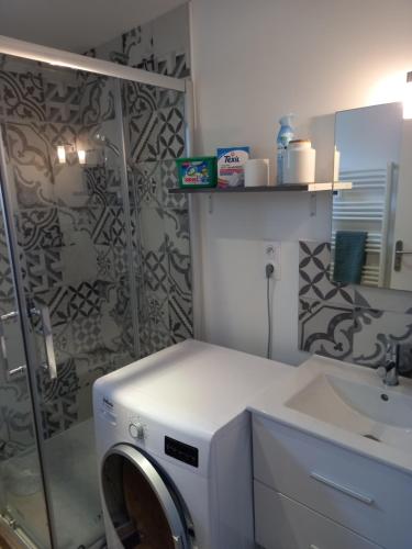 une salle de bain avec une machine à laver et un lavabo dans l'établissement Aux Portes de Brest, à Le Relecq-Kerhuon