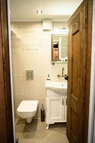 a bathroom with a toilet and a sink and a mirror at Къща ЕТНО in Koprivshtitsa