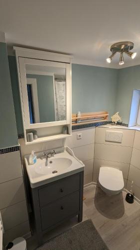 a bathroom with a sink and a toilet at Ferienhaus Hygge in Flensburg