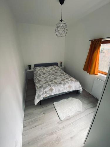 une chambre avec un lit et une fenêtre dans l'établissement Bel appart proche centre ville, thermes, casino, à Bagnères-de-Bigorre