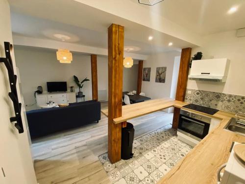 une pièce avec une cuisine et un salon dans l'établissement Bel appart proche centre ville, thermes, casino, à Bagnères-de-Bigorre