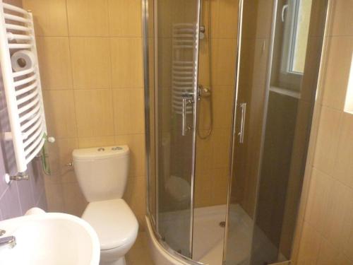 a bathroom with a shower and a toilet and a sink at Ośrodek Wypoczynkowy Nad Stawem vis a vis Parku Zdrojowego z Tężnią Solankową - B&B Holiday Resort By The Lake - Erholungsheim Am See - Prázdninový dům U Jezera in Kudowa-Zdrój