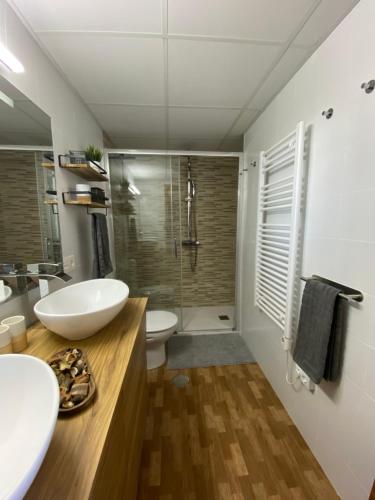 ein Bad mit einem Waschbecken, einem WC und einer Dusche in der Unterkunft APARTMENT SAN BERNARDO Zona Alta with free garage parking and free WIFI in Sierra Nevada