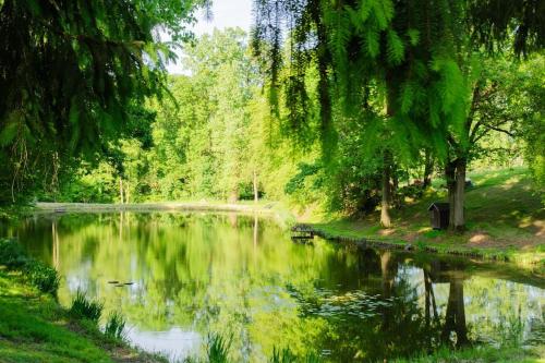 a pond in a park with trees and a forest at Domaine des Arches in Soumagne