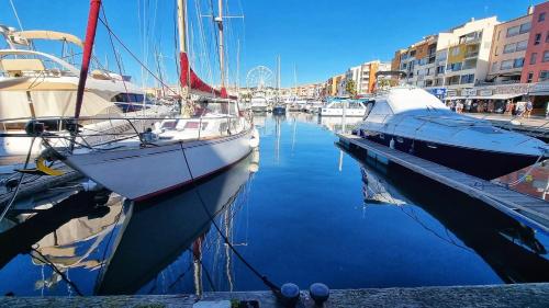 a group of boats are docked in a harbor at Studio Chaleureux au Cap d’Agde in Cap d'Agde