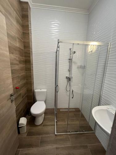 a bathroom with a shower and a toilet and a sink at RIVER SIDE in Polyana