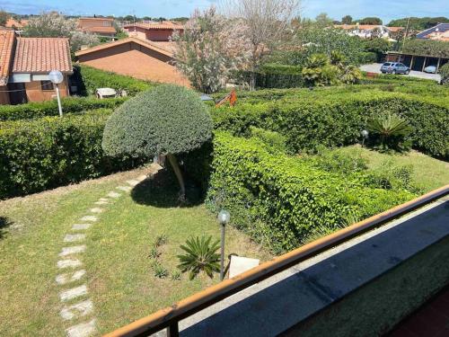 Uma vista do jardim em Villino Marina Di San Nicola ou nos arredores