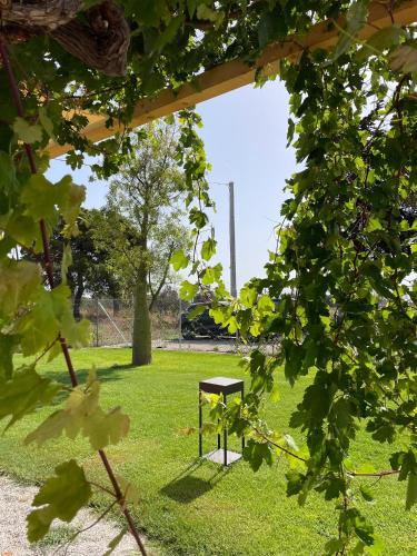 a picnic table in the grass in a park at Le stanze di chiara in Torre Lapillo