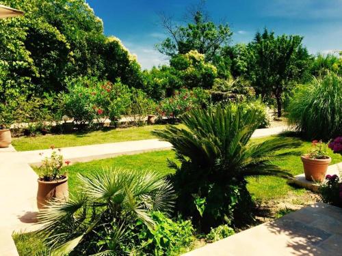 a garden with palm trees and plants on a sidewalk at Domaine de l'Aufrene in Hyères
