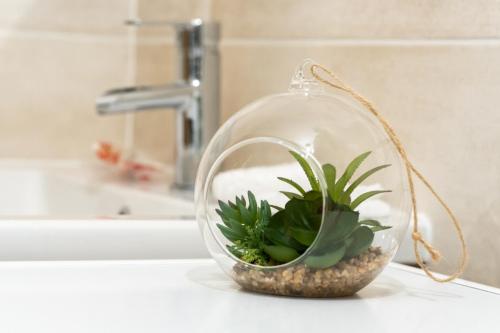 - une plante dans un bol en verre sur un lavabo dans l'établissement #Nouveau#Cocoon#Wifi#Parking#Biendormiracognac, à Cognac