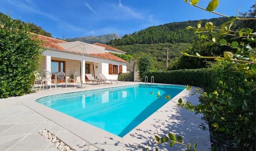a villa with a swimming pool in front of a house at Villa Ava Kotor in Kotor