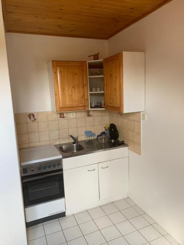 Kuchyň nebo kuchyňský kout v ubytování Apartmán pod Boubínem