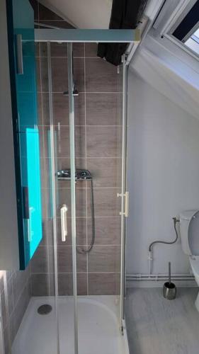 une salle de bain avec une douche en verre et des toilettes dans l'établissement Appartement F2 : entrée du Havre, au Havre
