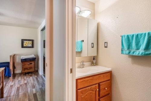 a bathroom with a sink and a counter top at Ponderosa Creekside Retreat in Mariposa