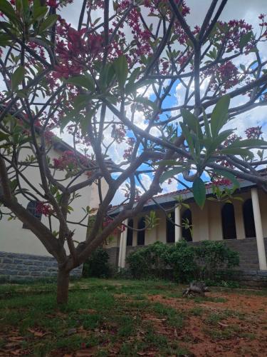 Recanto São José – Photos 3