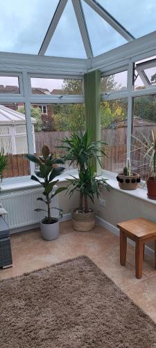 a conservatory with potted plants and a bench and a table at Cosy double room in Torquay