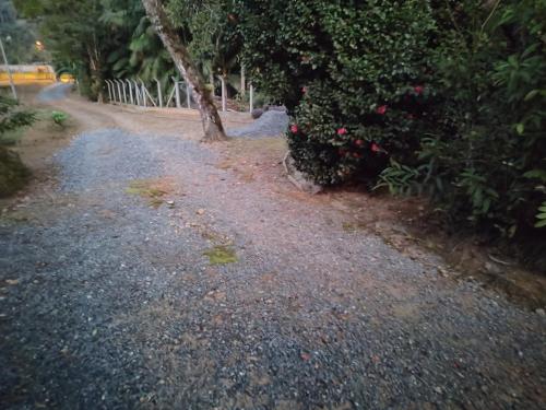 a gravel road with a tree and bushes at Casa inxalmel in Blumenau