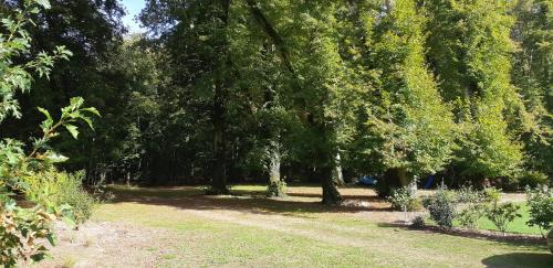 a park with trees and grass and a field at Chambres d'hôtes chez Sylvie in Donnemain-Saint-Mamès
