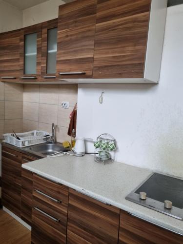 uma cozinha com armários de madeira e um lavatório em Kirkovski apartment em Skopje