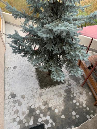 Photo de la galerie de l'établissement Tsaghkadzor Family Villa, à Tsaghkadzor