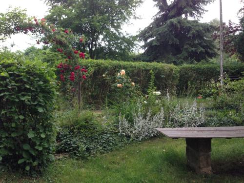 Jardín al aire libre en Heiterer Blick am Malerweg Pirna