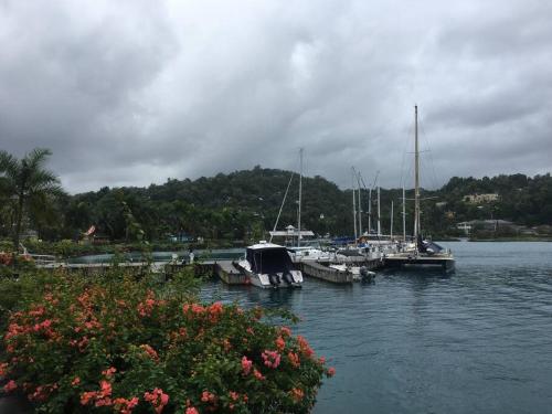 a group of boats docked at a marina on the water at Cozy Locale Pearl in Port Antonio
