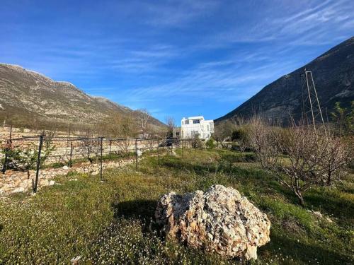 a house in a field with a rock in the grass at Vila Hoxha, Mezhgoran 