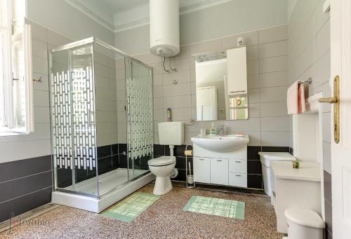 y baño con ducha, aseo y lavamanos. en Holiday home Villa Mare, en Novi Vinodolski
