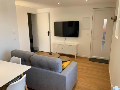 ein Wohnzimmer mit einem Sofa und einem Flachbild-TV in der Unterkunft Le Chazottier in Brindas