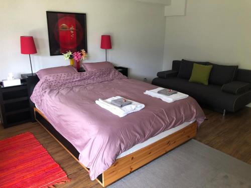 1 dormitorio con 1 cama grande y 1 sofá en Hop in Nest Cozy B&B in Wengen, en Wengen