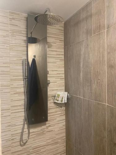 eine Duschkabine im Bad mit Dusche in der Unterkunft B&B Le Rose in Villafranca Padovana