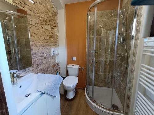 a bathroom with a shower and a toilet and a sink at Habitation Saint-Clar Vieille Ville in Bergerac
