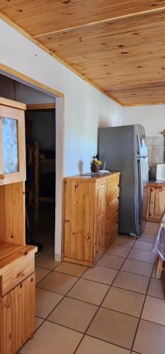 a kitchen with wooden cabinets and a stainless steel refrigerator at Cerro Indio in Potrerillos