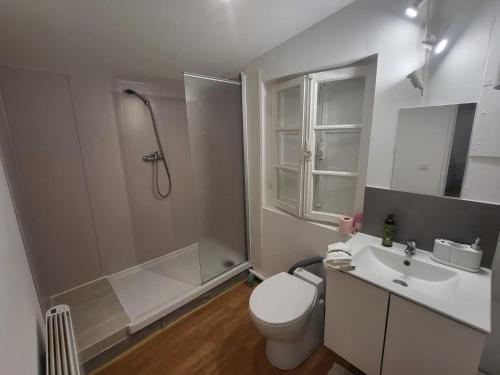 une salle de bain avec toilettes, douche et lavabo dans l'établissement Cabane pas loin de la plage, à Cagnes-sur-Mer
