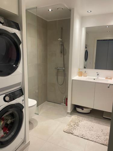 een badkamer met een wasmachine en een wastafel bij Stjernepladsen in Aalborg
