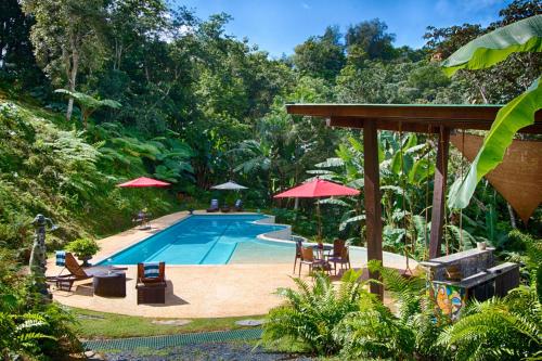 a swimming pool with chairs and umbrellas next to a forest at Mont Carpe Diem 