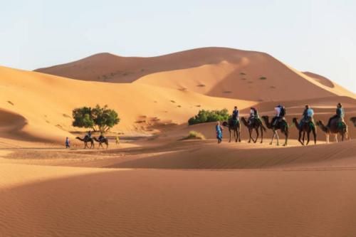 a group of people riding on camels in the desert at Desert Berber Fire Camp in Merzouga